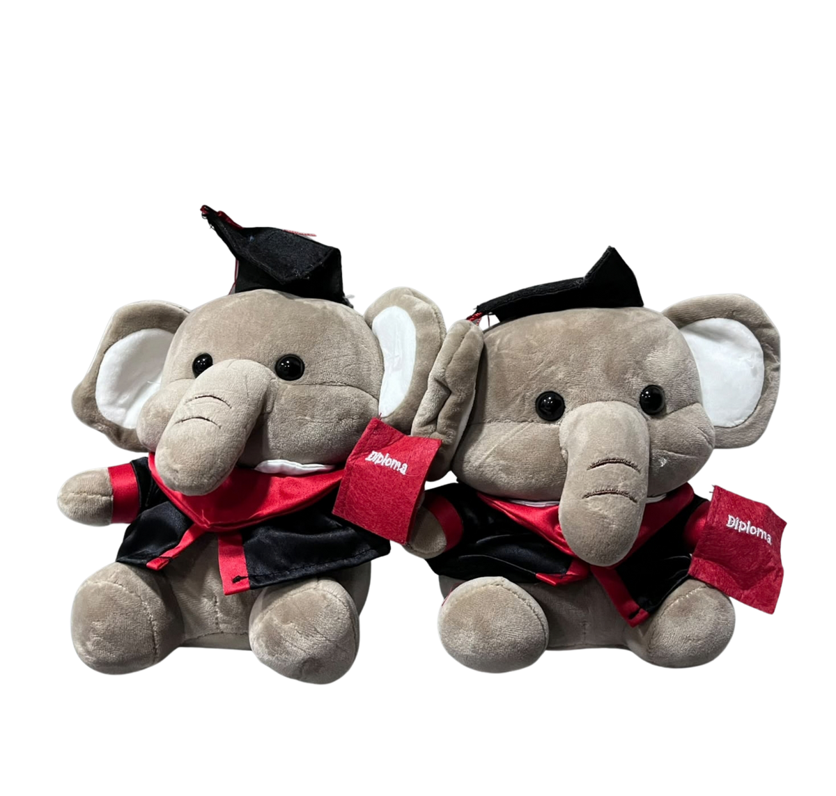 Elefante graduado importado