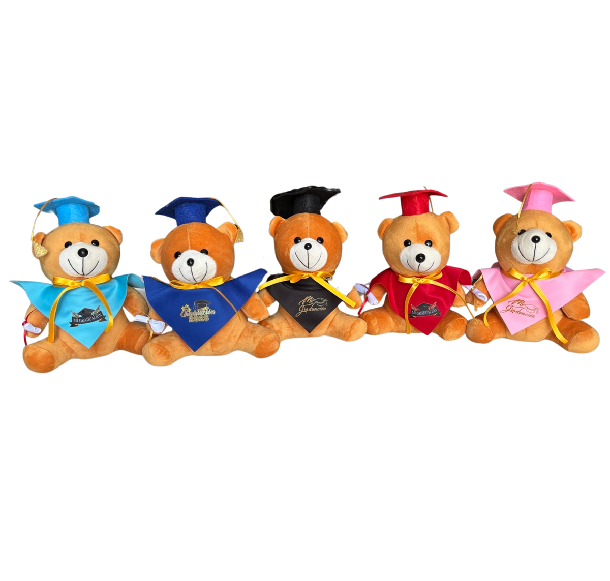 Osos graduados en colores surtidos